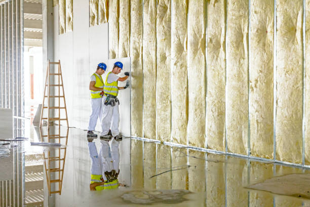 Best Eco-Friendly Insulation in Attica, IN